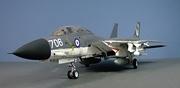 Tomcat FRS.1A, Royal Navy, 1:48