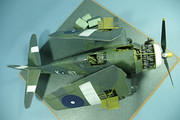 Grumman F6F Hellcat, 1:24 scale