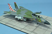 RAF F-14 Tomcat